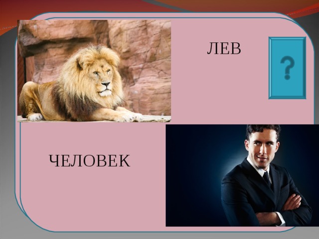 План Выставка 2. Встреча льва и собачки 3.Дружба 4.Горе, боль  ЛЕВ  ЧЕЛОВЕК  