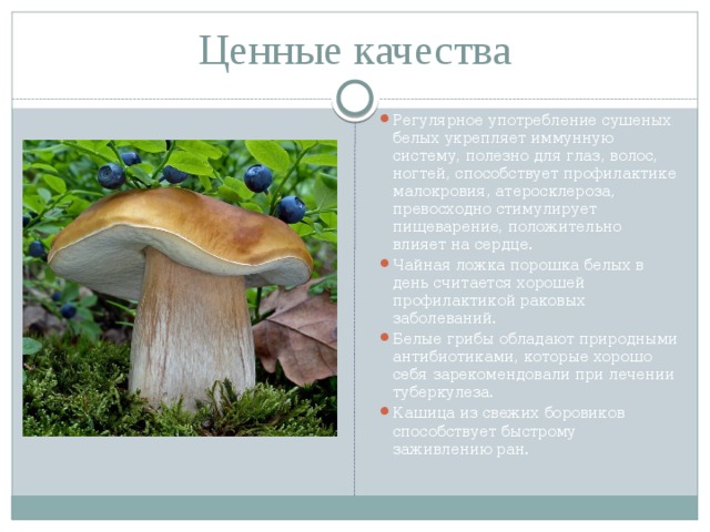Ценные качества Регулярное употребление сушеных белых укрепляет иммунную систему, полезно для глаз, волос, ногтей, способствует профилактике малокровия, атеросклероза, превосходно стимулирует пищеварение, положительно влияет на сердце. Чайная ложка порошка белых в день считается хорошей профилактикой раковых заболеваний. Белые грибы обладают природными антибиотиками, которые хорошо себя зарекомендовали при лечении туберкулеза. Кашица из свежих боровиков способствует быстрому заживлению ран. 