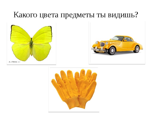 Какого цвета предметы ты видишь? 