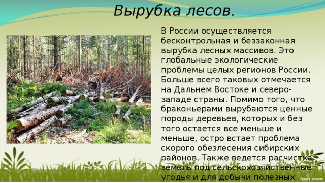 Вырубка лесов. В России осуществляется бесконтрольная и беззаконная вырубка лесных массивов. Это глобальные экологические проблемы целых регионов России. Больше всего таковых отмечается на Дальнем Востоке и северо-западе страны. Помимо того, что браконьерами вырубаются ценные породы деревьев, которых и без того остается все меньше и меньше, остро встает проблема скорого обезлесения сибирских районов. Также ведется расчистка земель под сельскохозяйственные угодья и для добычи полезных ископаемых. 