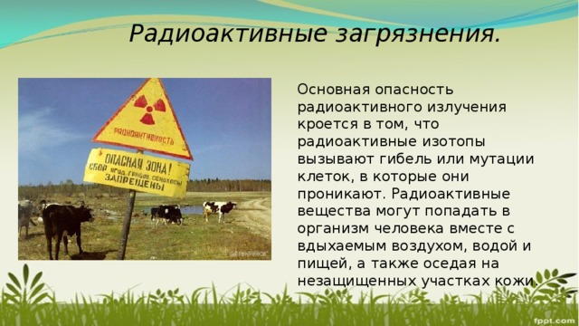 Радиоактивные загрязнения. Основная опасность радиоактивного излучения кроется в том, что радиоактивные изотопы вызывают гибель или мутации клеток, в которые они проникают. Радиоактивные вещества могут попадать в организм человека вместе с вдыхаемым воздухом, водой и пищей, а также оседая на незащищенных участках кожи. 