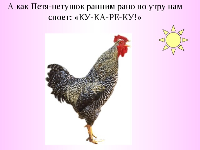 А как Петя-петушок ранним рано по утру нам споет: «КУ-КА-РЕ-КУ!»   
