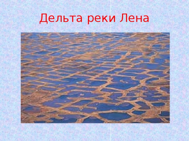 Дельта реки Лена 