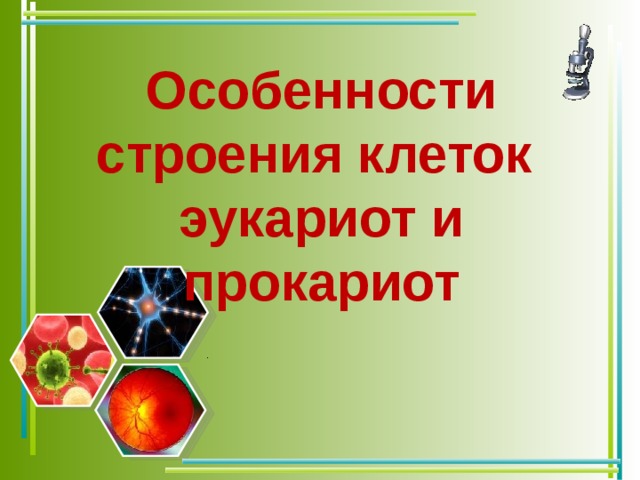 Особенности строения клеток эукариот и прокариот    