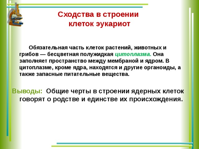 Сходства в строении  клеток эукариот   Обязательная часть клеток растений, животных и грибов — бесцветная полужидкая цитоплазма . Она заполняет пространство между мембраной и ядром. В цитоплазме, кроме ядра, находятся и другие органоиды, а также запасные питательные вещества.  Выводы: Общие черты в строении ядерных клеток говорят о родстве и единстве их происхождения.  