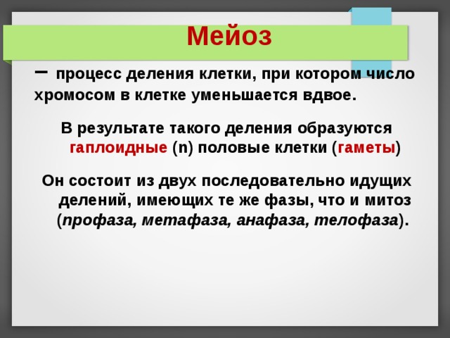   Мейоз – процесс деления клетки, при котором число хромосом в клетке уменьшается вдвое. В результате такого деления образуются гаплоидные (n) половые клетки ( гаметы ) Он состоит из двух последовательно идущих делений, имеющих те же фазы, что и митоз ( профаза, метафаза, анафаза, телофаза ). 