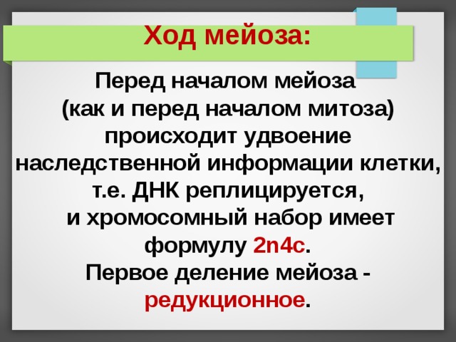 Ход мейоза: Перед началом мейоза (как и перед началом митоза) происходит удвоение наследственной информации клетки, т.е. ДНК реплицируется,  и хромосомный набор имеет формулу 2n4с . Первое деление мейоза - редукционное . 