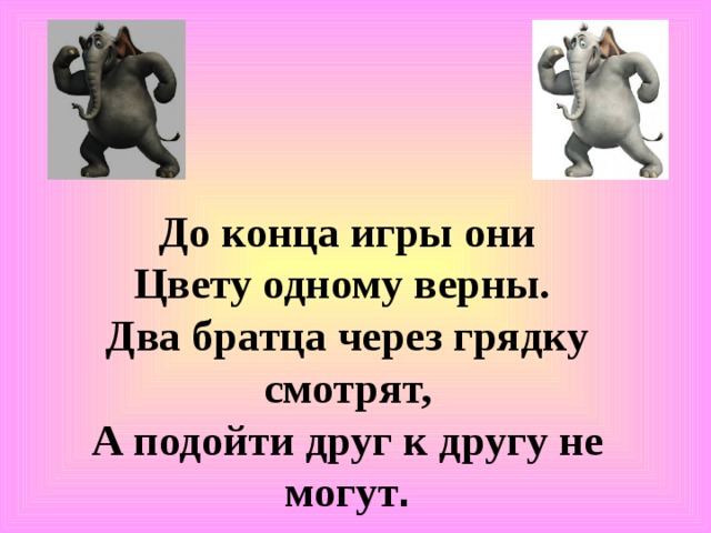 До конца игры они  Цвету одному верны. Два братца через грядку смотрят,  А подойти друг к другу не могут .