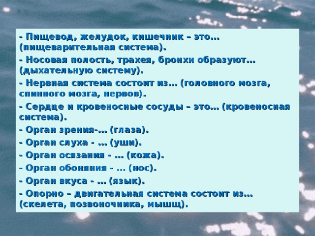 - Пищевод, желудок, кишечник – это… (пищеварительная система). - Носовая полость, трахея, бронхи образуют… (дыхательную систему). - Нервная система состоит из… (головного мозга, спинного мозга, нервов). - Сердце и кровеносные сосуды – это… (кровеносная система). - Орган зрения-… (глаза). - Орган слуха - … (уши). - Орган осязания - … (кожа). - Орган обоняния - … (нос). - Орган вкуса - … (язык). - Опорно – двигательная система состоит из… (скелета, позвоночника, мышщ).  