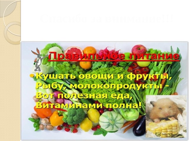 Спасибо за внимание!!! 