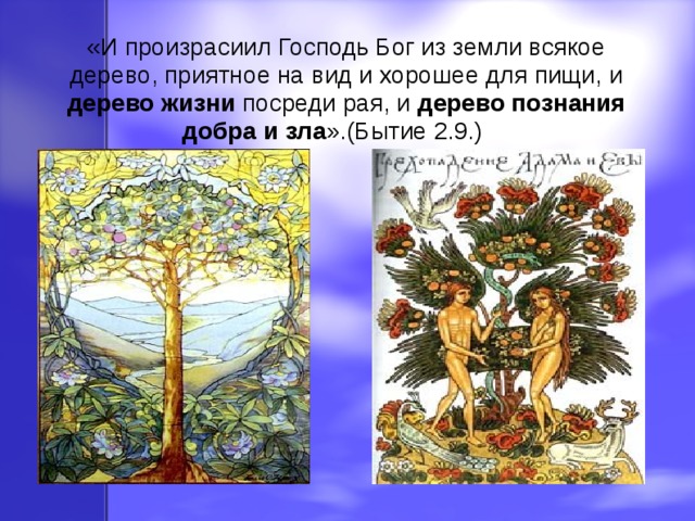 «И произрасиил Господь Бог из земли всякое дерево, приятное на вид и хорошее для пищи, и дерево жизни посреди рая, и дерево познания добра и зла ».(Бытие 2.9.) 