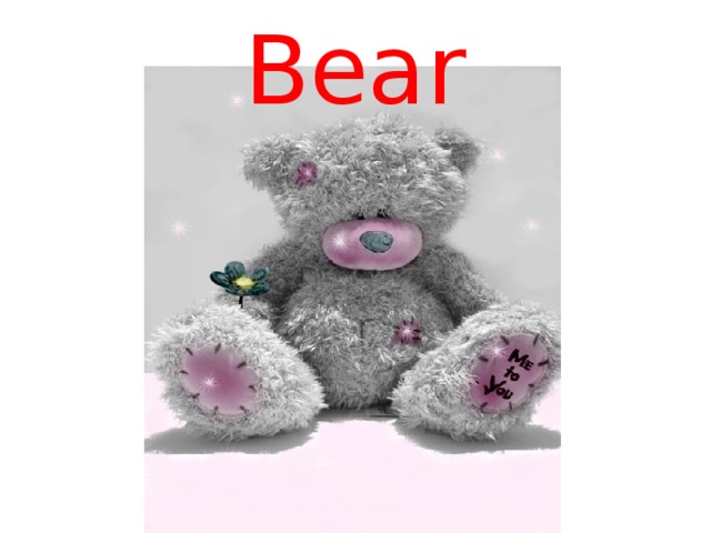 Bear 