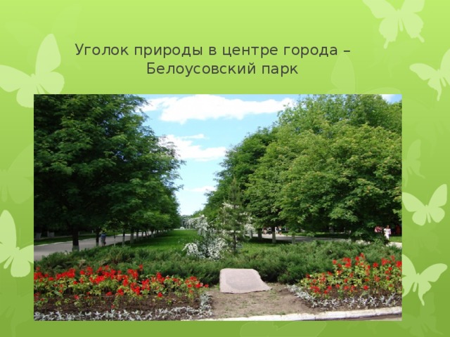  Уголок природы в центре города – Белоусовский парк 
