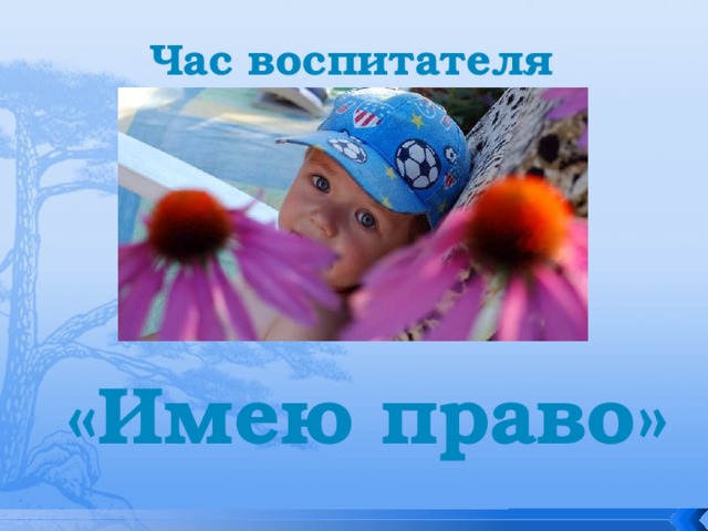 Час воспитателя «Имею право» 