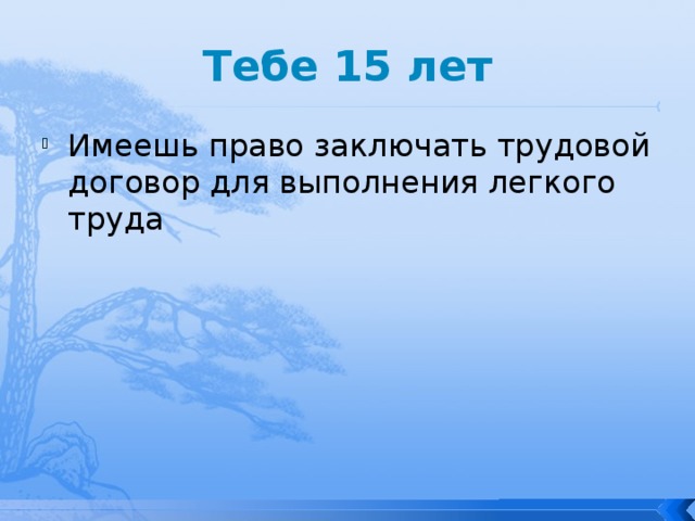 Тебе 15 лет Имеешь право заключать трудовой договор для выполнения легкого труда 