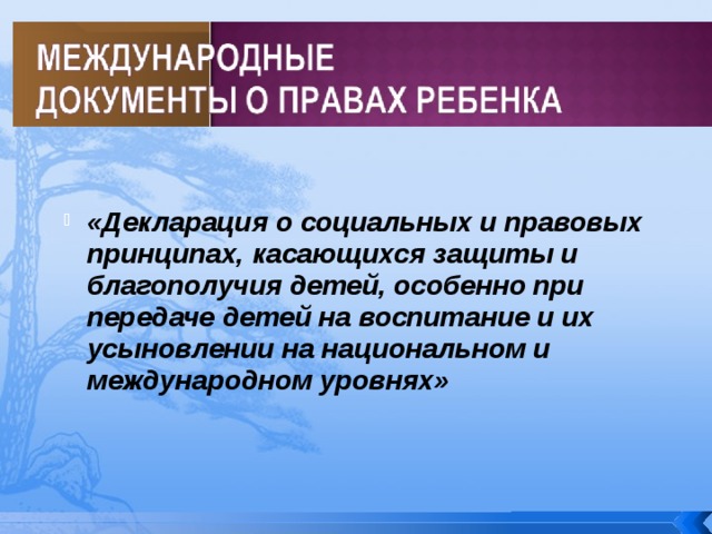 «Декларация о социальных и правовых принципах, касающихся защиты и благополучия детей, особенно при передаче детей на воспитание и их усыновлении на национальном и международном уровнях» «Декларация о социальных и правовых принципах, касающихся защиты и благополучия детей, особенно при передаче детей на воспитание и их усыновлении на национальном и международном уровнях» 