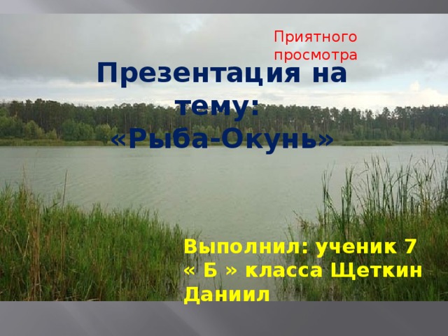 Приятного просмотра Презентация на тему: «Рыба-Окунь» Выполнил: ученик 7 « Б » класса Щеткин Даниил  