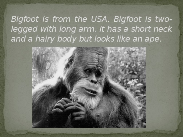 Bigfoot is from the USA. Bigfoot is two-legged with long arm. It has a short neck and a hairy body but looks like an ape. 