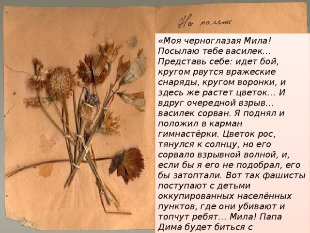«Моя черноглазая Мила! Посылаю тебе василек… Представь себе: идет бой, кругом рвутся вражеские снаряды, кругом воронки, и здесь же растет цветок… И вдруг очередной взрыв… василек сорван. Я поднял и положил в карман гимнастёрки. Цветок рос, тянулся к солнцу, но его сорвало взрывной волной, и, если бы я его не подобрал, его бы затоптали. Вот так фашисты поступают с детьми оккупированных населённых пунктов, где они убивают и топчут ребят… Мила! Папа Дима будет биться с фашистами до последней капли крови, до последнего вздоха, чтобы фашисты не поступили с тобой так же, как с этим цветком. 