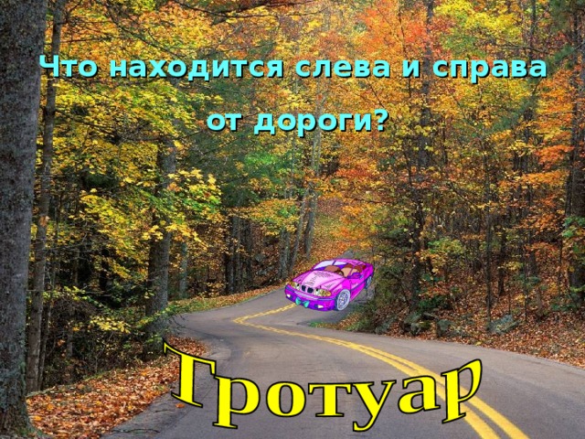 Что находится слева и справа  от дороги? 