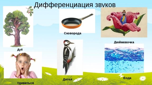 Дифференциация звуков Сковорода Дюймовочка Дуб Вода Дятел Удивиться 
