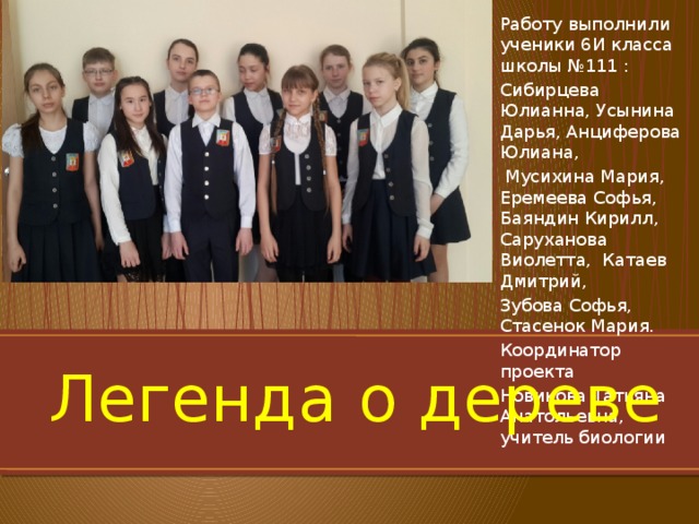 Работу выполнили ученики 6И класса школы №111 : Сибирцева Юлианна, Усынина Дарья, Анциферова Юлиана,  Мусихина Мария, Еремеева Софья, Баяндин Кирилл, Саруханова Виолетта, Катаев Дмитрий, Зубова Софья, Стасенок Мария. Координатор проекта Новикова Татьяна Анатольевна, учитель биологии Легенда о дереве 
