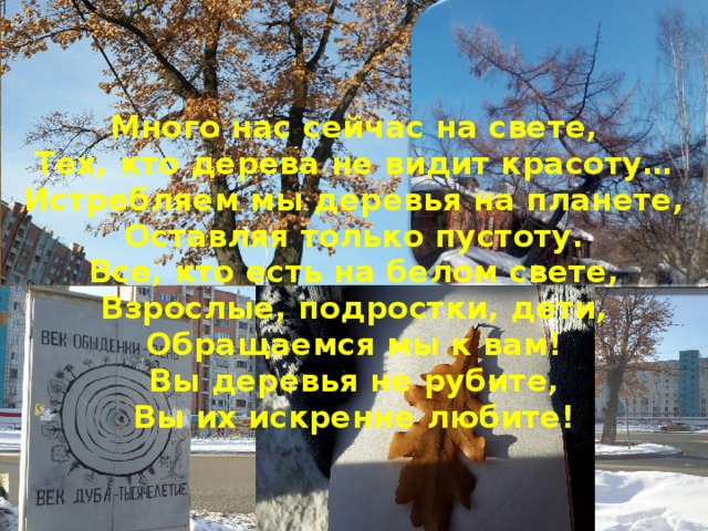 Много нас сейчас на свете,  Тех, кто дерева не видит красоту…  Истребляем мы деревья на планете,  Оставляя только пустоту.  Все, кто есть на белом свете,  Взрослые, подростки, дети,  Обращаемся мы к вам!  Вы деревья не рубите,  Вы их искренне любите!   