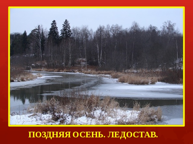 ПОЗДНЯЯ  ОСЕНЬ. ЛЕДОСТАВ.  