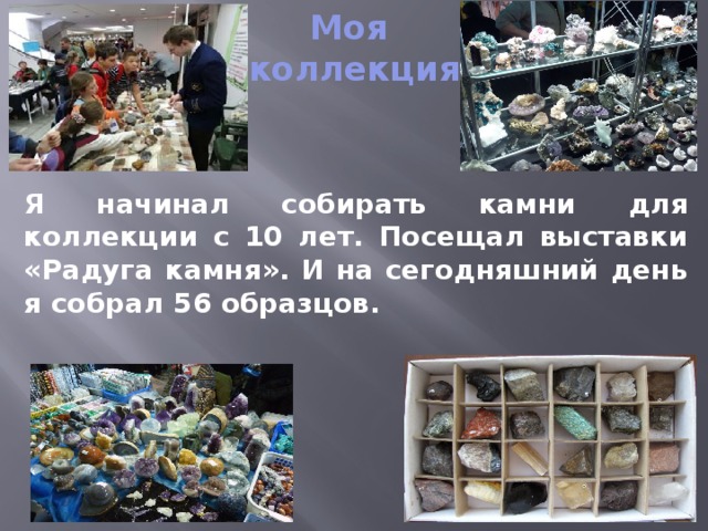 Моя  коллекция Я начинал собирать камни для коллекции с 10 лет. Посещал выставки «Радуга камня». И на сегодняшний день я собрал 56 образцов. 