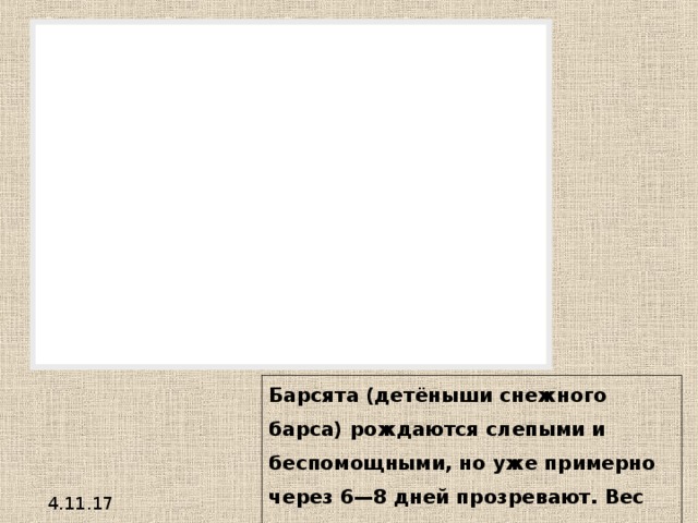 Барсята (детёныши снежного барса) рождаются слепыми и беспомощными, но уже примерно через 6—8 дней прозревают. Вес новорождённого барсёнка около 500 грамм при длине до 30 см. 