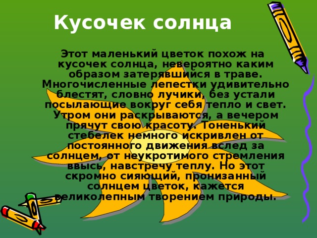 Кусочек солнца  Этот маленький цветок похож на кусочек солнца, невероятно каким образом затерявшийся в траве. Многочисленные лепестки удивительно блестят, словно лучики, без устали посылающие вокруг себя тепло и свет. Утром они раскрываются, а вечером прячут свою красоту. Тоненький стебелек немного искривлен от постоянного движения вслед за солнцем, от неукротимого стремления ввысь, навстречу теплу. Но этот скромно сияющий, пронизанный солнцем цветок, кажется великолепным творением природы.   