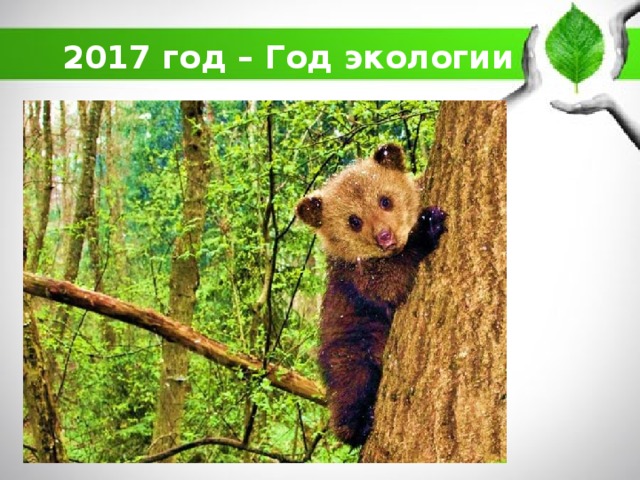 2017 год – Год экологии 
