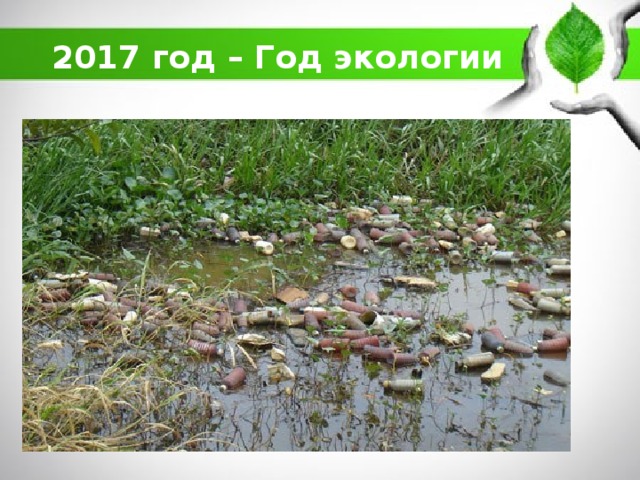 2017 год – Год экологии 