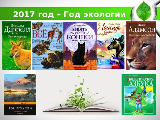 2017 год – Год экологии 