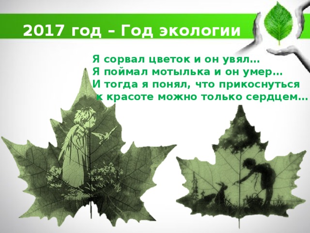 2017 год – Год экологии Я сорвал цветок и он увял… Я поймал мотылька и он умер… И тогда я понял, что прикоснуться  к красоте можно только сердцем… 