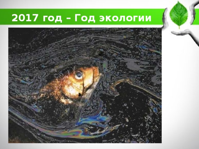 2017 год – Год экологии 