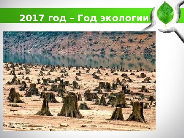 2017 год – Год экологии 