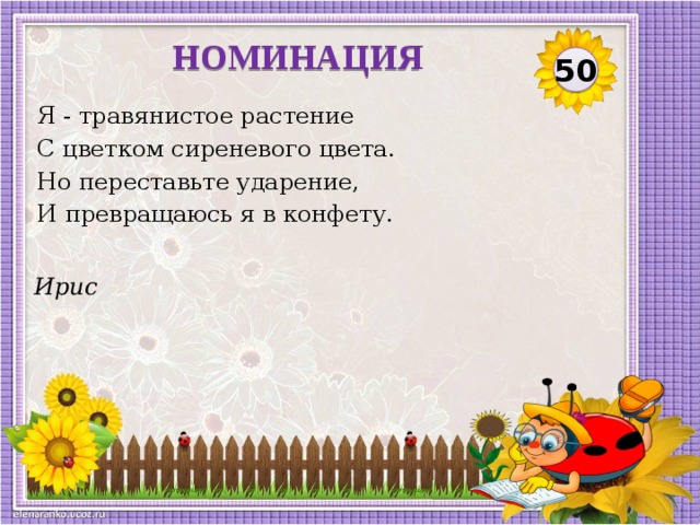 НОМИНАЦИЯ 50 Я - травянистое растение С цветком сиреневого цвета. Но переставьте ударение, И превращаюсь я в конфету. Ирис  