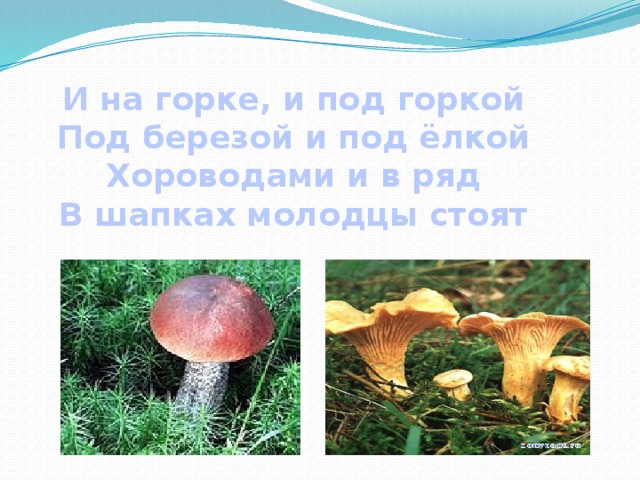 И на горке, и под горкой Под березой и под ёлкой Хороводами и в ряд В шапках молодцы стоят 