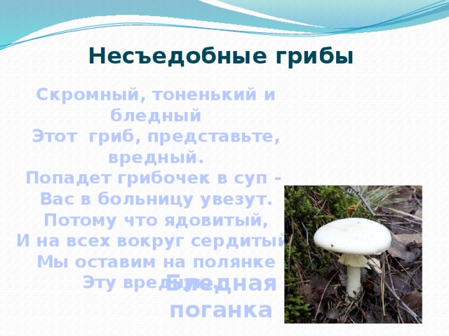 Несъедобные грибы Скромный, тоненький и бледный Этот гриб, представьте, вредный. Попадет грибочек в суп - Вас в больницу увезут. Потому что ядовитый, И на всех вокруг сердитый. Мы оставим на полянке Эту вредную…   Бледная поганка 