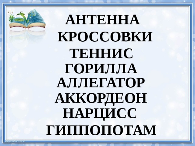 АНТЕННА КРОССОВКИ ТЕННИС ГОРИЛЛА АЛЛЕГАТОР АККОРДЕОН НАРЦИСС ГИППОПОТАМ 