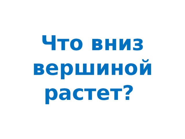 Что вниз вершиной растет? 