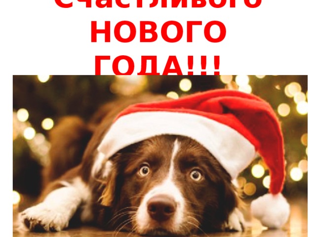 Счастливого НОВОГО ГОДА!!!   
