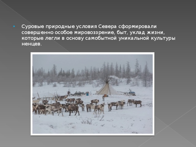 Суровые природные условия Севера сформировали совершенно особое мировоззрение, быт, уклад жизни, которые легли в основу самобытной уникальной культуры ненцев. 