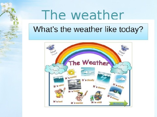 The weather 