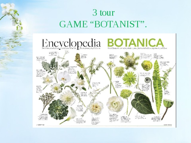 3 tour  GAME “BOTANIST”. 