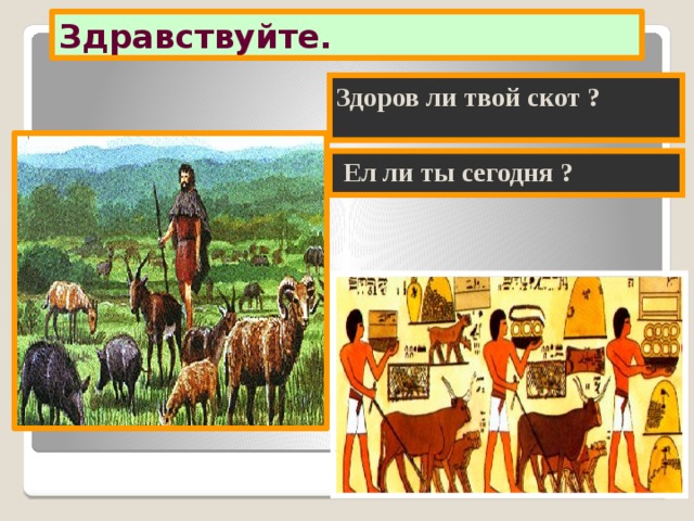 Здравствуйте. Здоров ли твой скот ?  Ел ли ты сегодня ? 