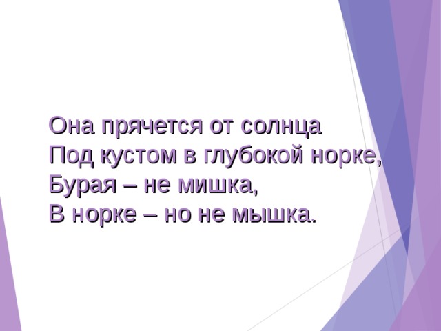 Она прячется от солнца Под кустом в глубокой норке, Бурая – не мишка, В норке – но не мышка. 