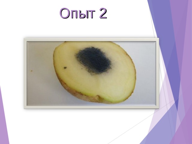 Опыт 2 
