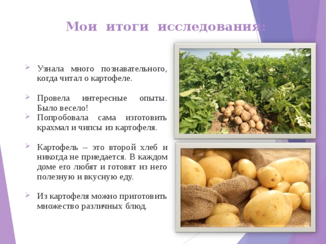 Мои итоги исследования: Узнала много познавательного, когда читал о картофеле.  Провела интересные опыты. Было весело! Попробовала сама изготовить крахмал и чипсы из картофеля.  Картофель – это второй хлеб и никогда не приедается. В каждом доме его любят и готовят из него полезную и вкусную еду.  Из картофеля можно приготовить множество различных блюд.  